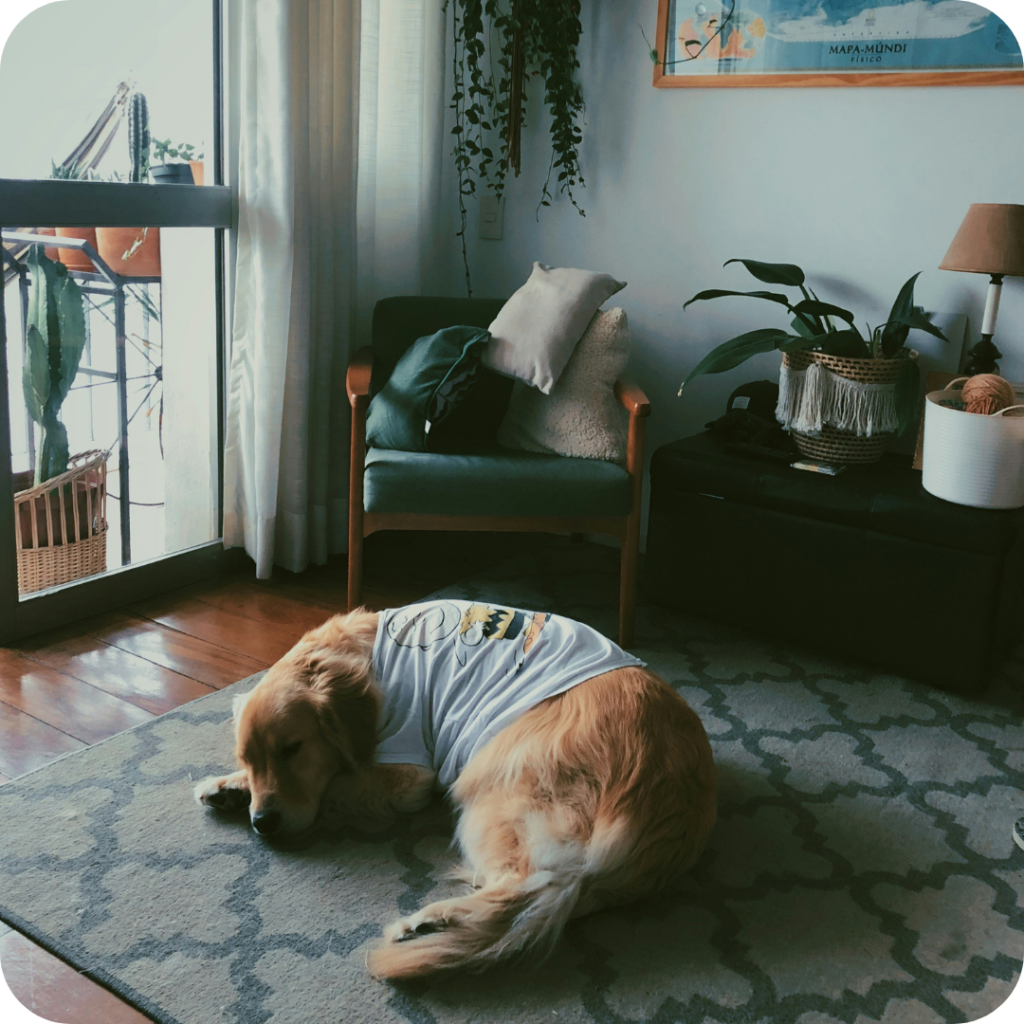 Staying warm in winter